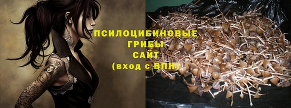 ешки Алзамай