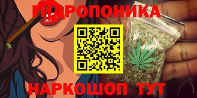 PSILOCYBIN Чебаркуль