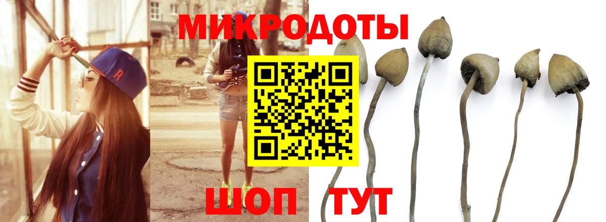 Нягань  дарнет шоп  Вход с VPN  Галлюциногенные грибы мухоморы 