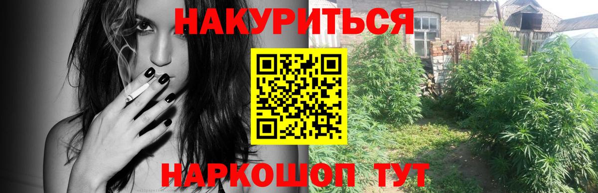 Каннабис семена Нягань